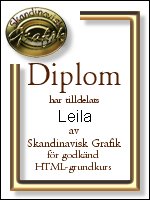 diplom_html.jpg