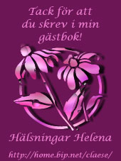 gastboksgava.JPG