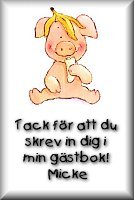 gastboksgava_micke.jpg