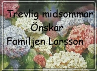midsommargastbok.jpg