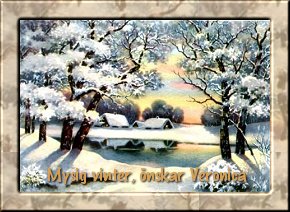 ver_vinter.jpg