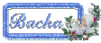 vinterbackaknapp.gif